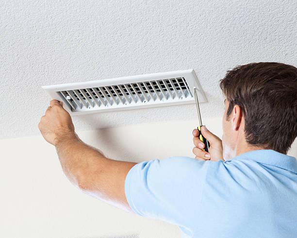 Best Mold Remediation for Healthcare Facilities  in Crimora, VA