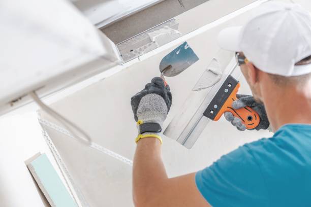 Environmental Consulting for Mold Prevention in Crimora, VA